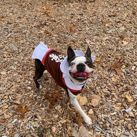 Meet your Posher, Ashley - Picture 2 of 3